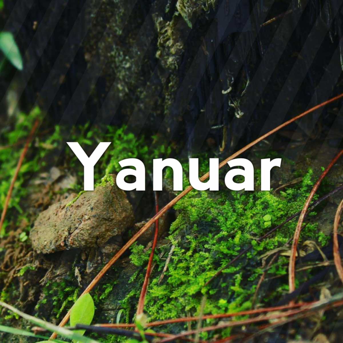 Yanuar Dwi Atmojo